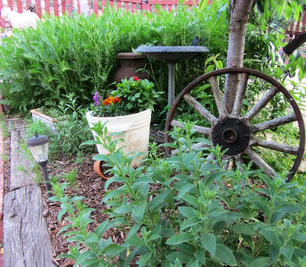 Avenue Hotel Bed And Breakfast Manitou Springs Luaran gambar